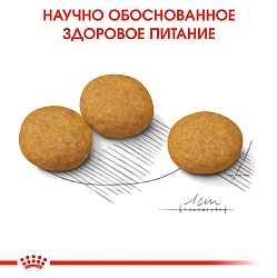 Сухой корм Royal Canin Medium Dermacomfort для взрослых средних пород 10 кг